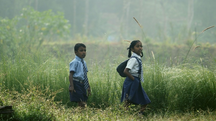 Two schoolchildren in uniform walking through tall grass